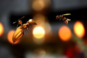 licking honey in dream meaning