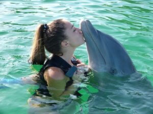 dreaming of dolphins and water meaning