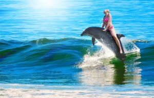 dreaming about friendly dolphins