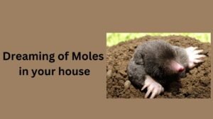 Read more about the article Meaning of Dreaming with Moles in Your House – Hidden Messages & Symbolism Explained