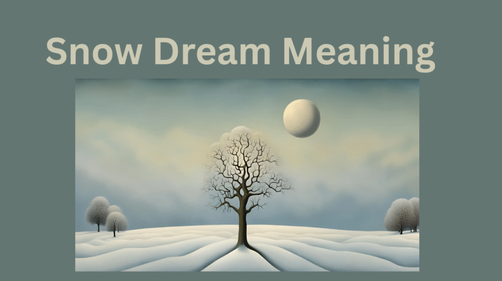 Snow Dream Meaning