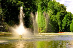 Fountain dreams