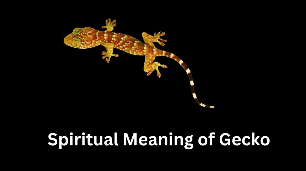 Spiritual Meaning of Gecko