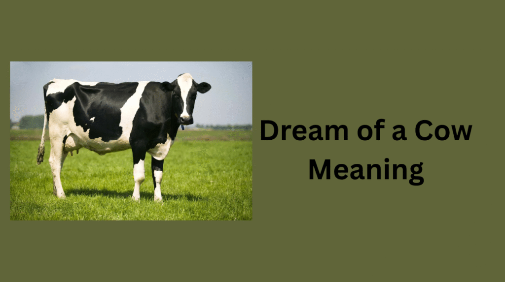 Dream of a Cow Meaning