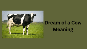 Read more about the article Dream of a Cow Meaning: 8 Hidden Signs You Shouldn’t Ignore