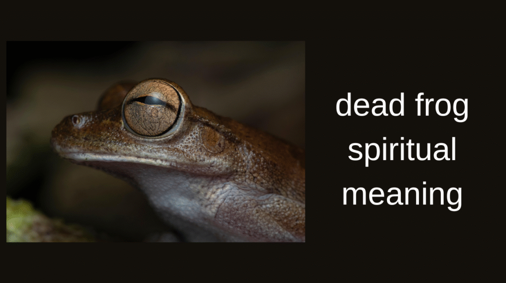 dead frog spiritual meaning
