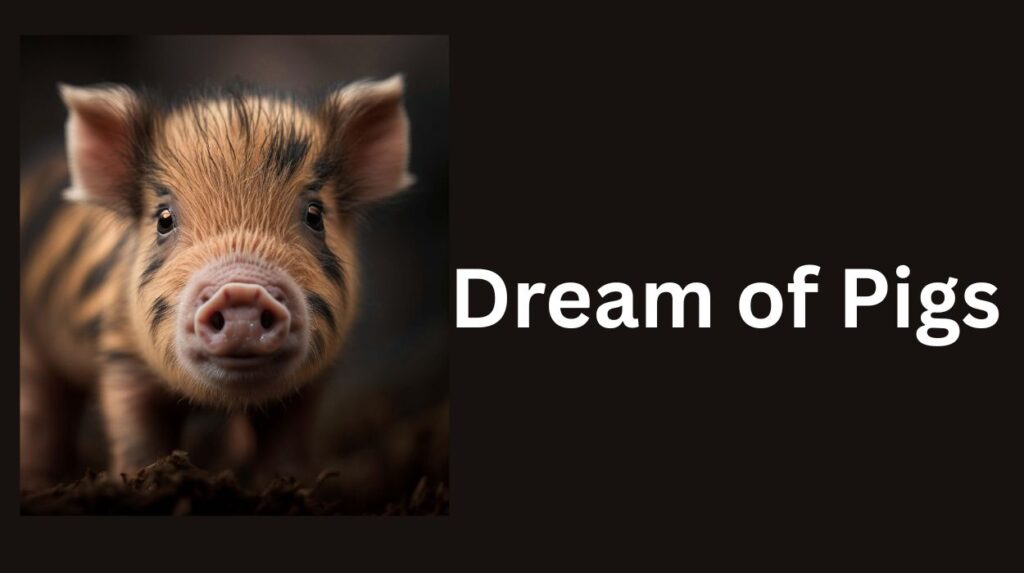 dream of pigs