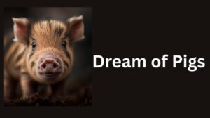 Read more about the article Dream of Pigs: 11 Hidden Meanings You Shouldn’t Ignore