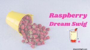 Read more about the article 🍓 Raspberry Dream Swig: The Creamy Pink Drink Everyone Loves