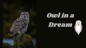 Read more about the article Owl in Dream: What Does It Mean? A Comprehensive Guide