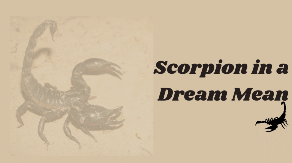 What Does a Scorpion in a Dream Mean? Spiritual & Symbolic Guide 6 Scorpion in a Dream Mean