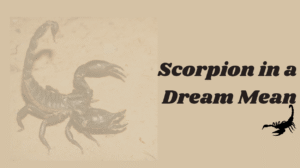 Read more about the article What Does a Scorpion in a Dream Mean? Spiritual & Symbolic Guide